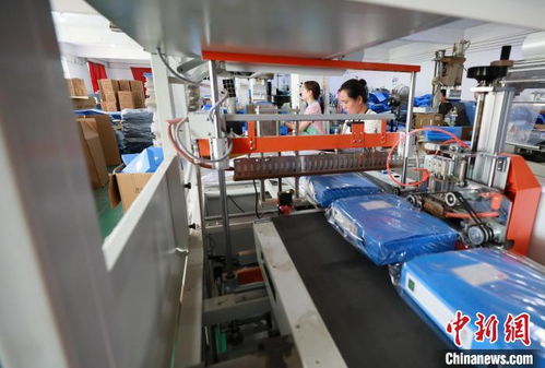 年產(chǎn)值2億元 河北邢臺(tái)一小鄉(xiāng)村用檔案制品讓村民走上致富路